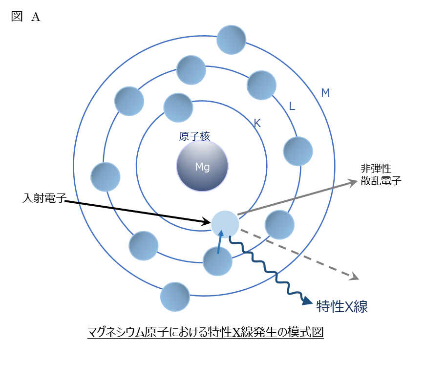 図A　特性X線発生の模式図